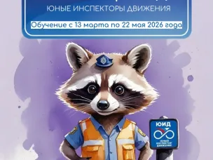 ПРОГРАММА ДОПОЛНИТЕЛЬНОГО ОБРАЗОВАНИЯ "ВОЛОНТЕР ЮИД"