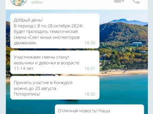 СЛЕТ ЮНЫХ ИНСПЕКТОРОВ ДВИЖЕНИЯ