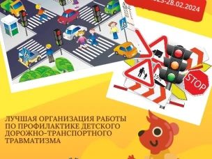 Лучшая организация работы по профилактике детского дорожно-транспортного травматизма