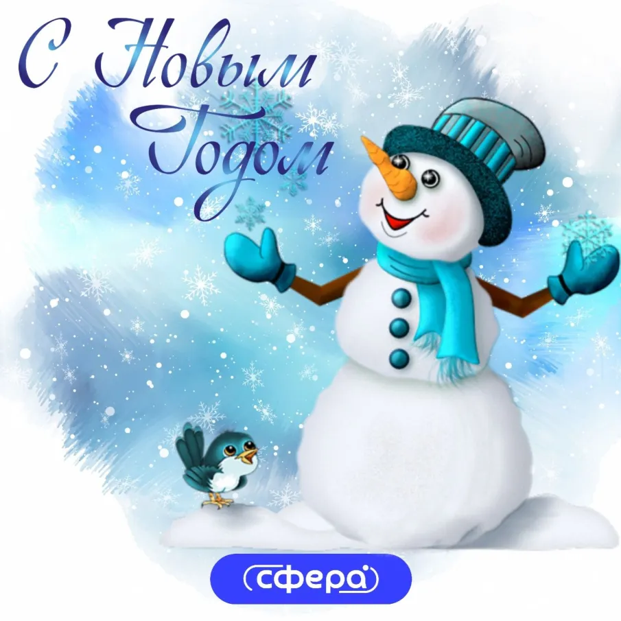 Коллектив НЦ "Сфера" от всей души поздравляет вас с наступающим Новым годом!
